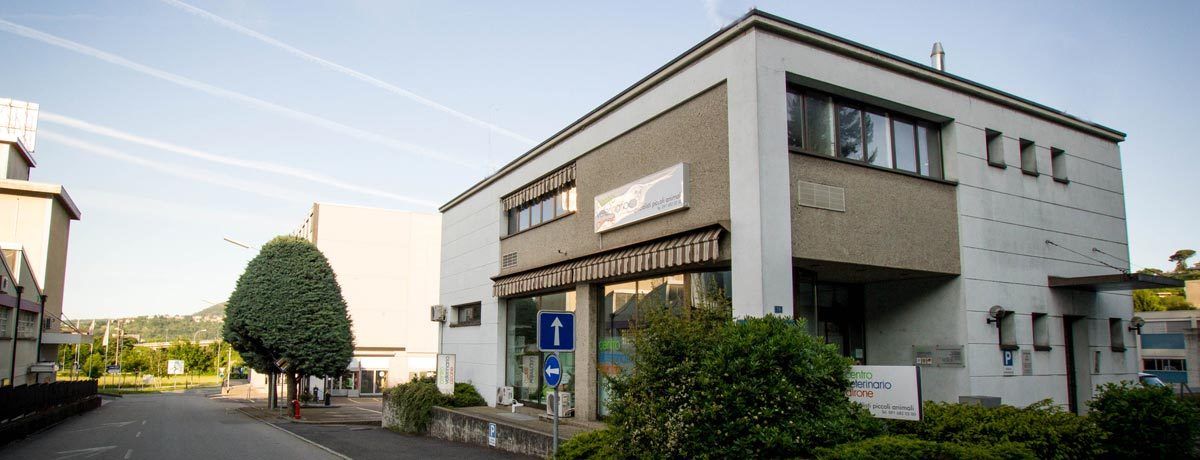 centro veterinario Ticino Svizzera